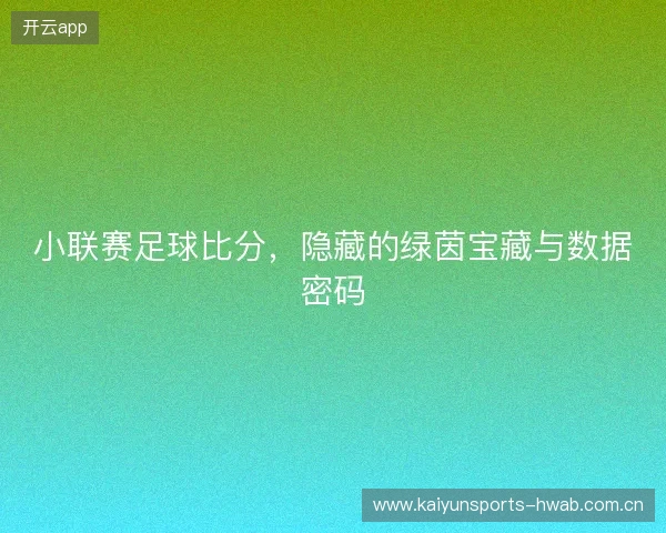 小联赛足球比分，隐藏的绿茵宝藏与数据密码